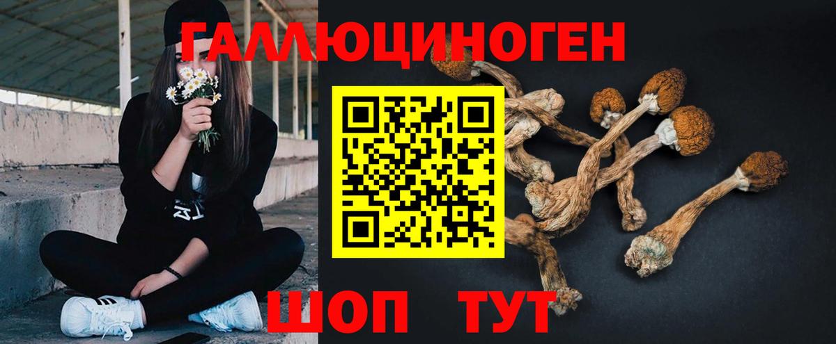 Галлюциногенные грибы ЛСД  Вход с VPN  Семёнов 